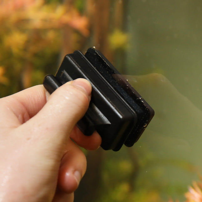 AnimalstoreXL JBL Algenmagneet S