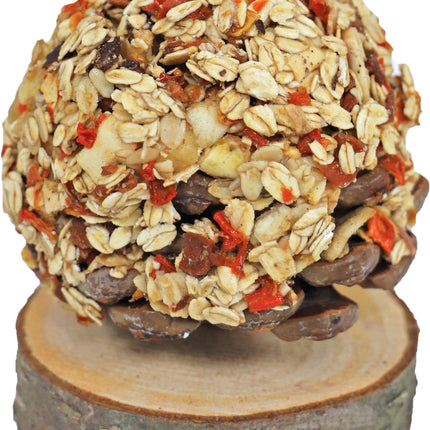 AnimalstoreXL JR Farm Fruitboom 270gr