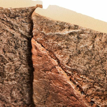 AnimalstoreXL Juwel Achterwand Cliff Dark