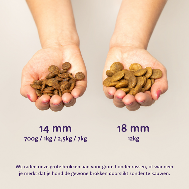 AnimalstoreXL Edgard & Cooper Brok Puppy Zalm & Scharrelkalkoen Graanvrij