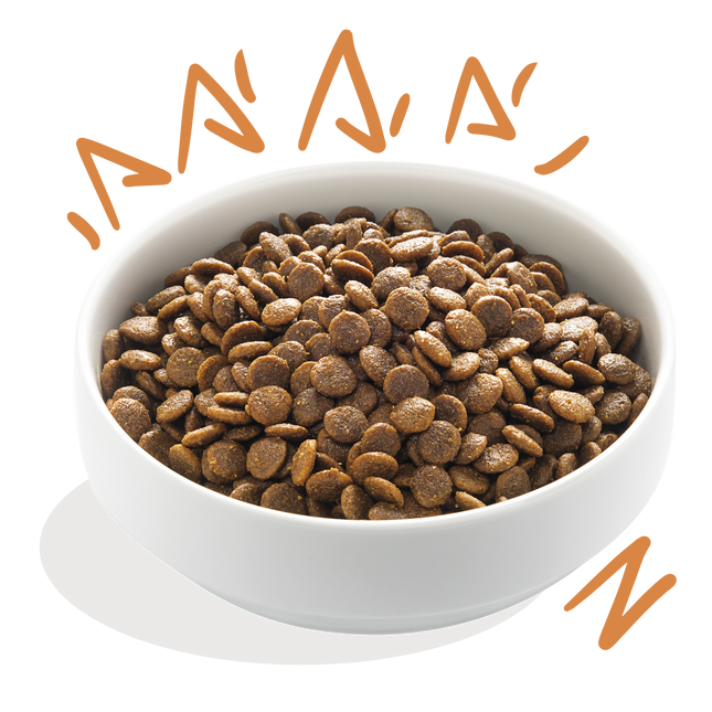 AnimalstoreXL Edgard & Cooper Brok Volwassen Hond Scharrelkip Graanvrij