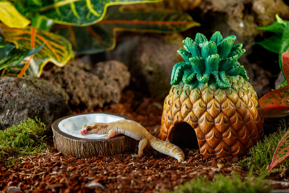 AnimalstoreXL Kokoswaterbak