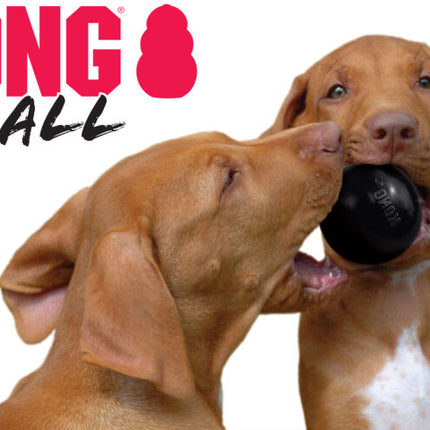 AnimalstoreXL Kong Bal Rubber Zwart
