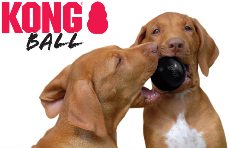 AnimalstoreXL Kong Bal Rubber Zwart