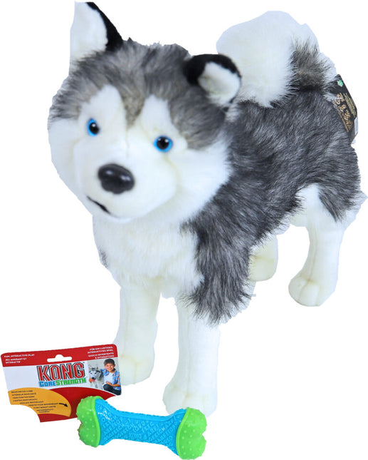 AnimalstoreXL Kong Corestrength Bone Medium Large