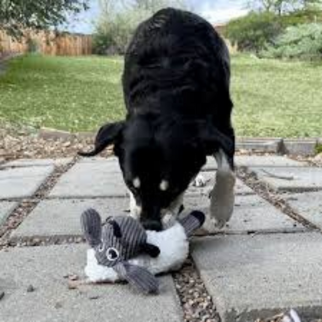 Kong Sherps Floofs Sheep Medium