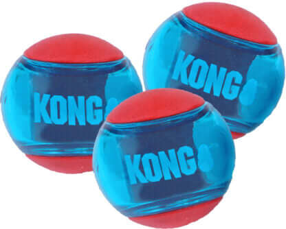 AnimalstoreXL Kong Squeez Action Red Small Kaart 3 stuks