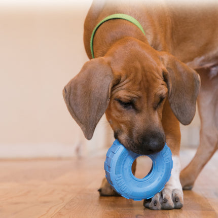 AnimalstoreXL Kong Tires Puppy Small