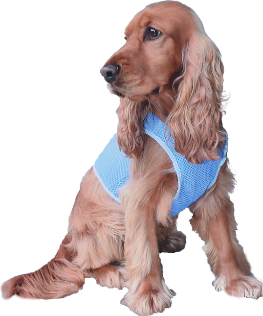 AnimalstoreXL Kowloon Cool Vest PVA Blauw