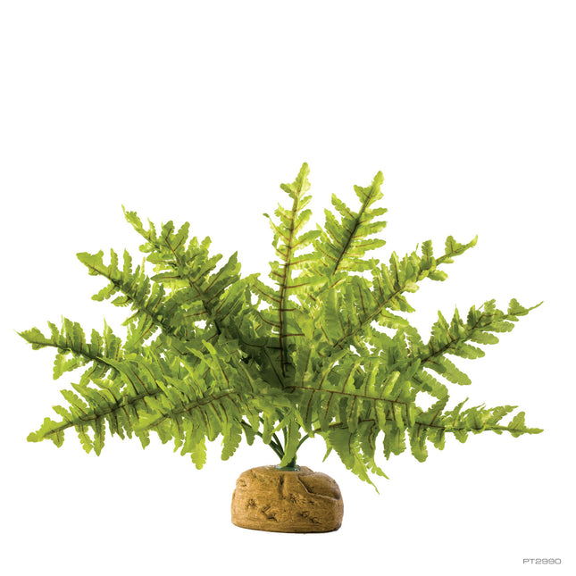 AnimalstoreXL Kunstplant Boston Fern S