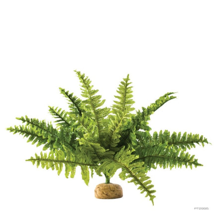AnimalstoreXL Kunstplant Boston Fern M