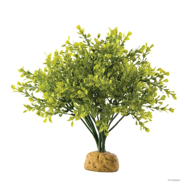 AnimalstoreXL Kunstplant Buxus