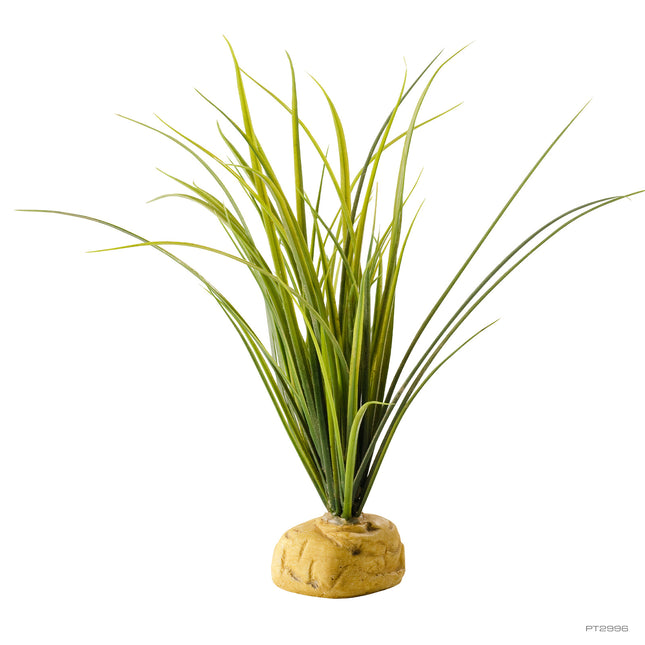AnimalstoreXL Kunstplant Schildpadgras