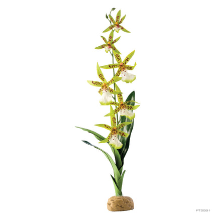 AnimalstoreXL Kunstplant Spinorchidee