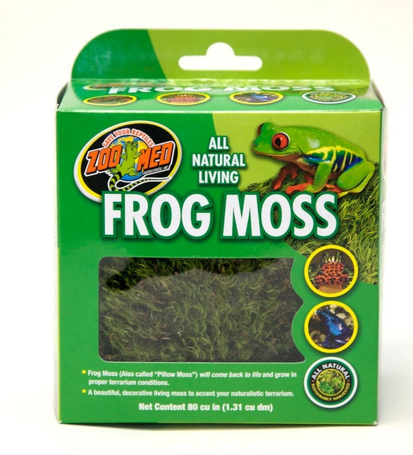 AnimalstoreXL Kussentjesmos 'Frog Moss' 13cm3