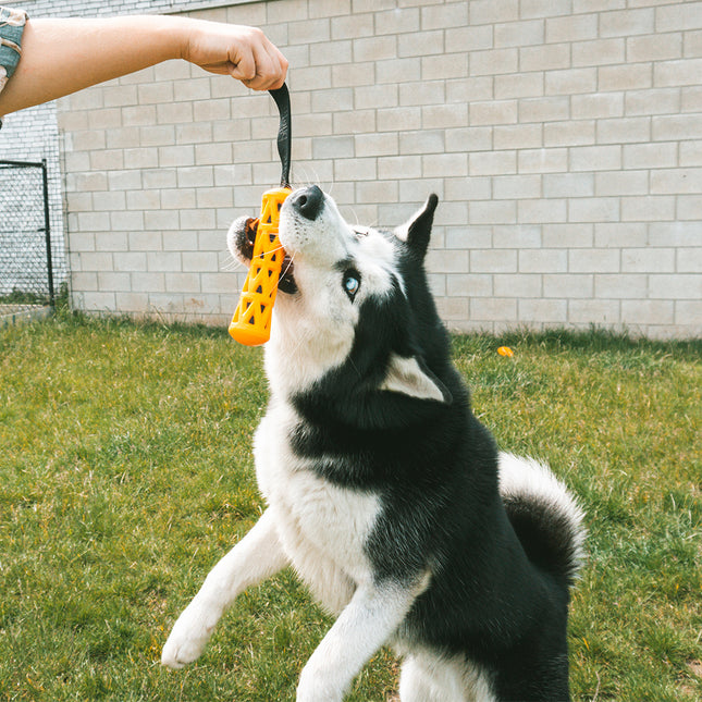 Laat Me Lachen Stok Oranje/Zwart S - L