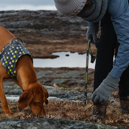 AnimalstoreXL Leash Hurtta Go stuksGray 15/180cm 933774