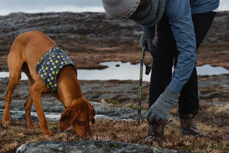 AnimalstoreXL Leash Hurtta Go stuksGray 15/180cm 933774