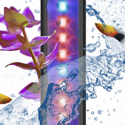 AnimalstoreXL Led cla60 plants aqua 60 & 80 8W