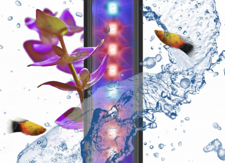 AnimalstoreXL Led cla60 plants aqua 60 & 80 8W