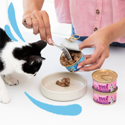 AnimalstoreXL Edgard & Cooper Kitten Stukjes-in-saus Kabeljauw & Scharrelkip Graanvrij