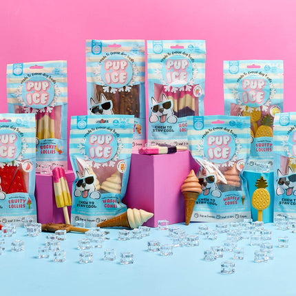 AnimalstoreXL Pup ice - Hondenijsjes 🍦