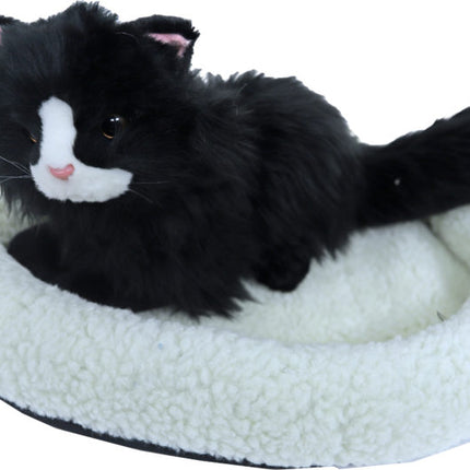 AnimalstoreXL Mand Schapenwol Ivoor 48cm