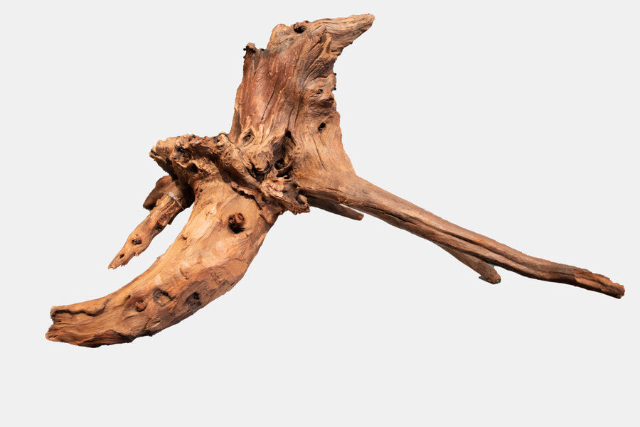 AnimalstoreXL Mangrove Aged Wood Extra Large