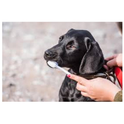 Mikki Double Tooth Brush White