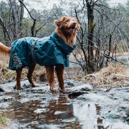 AnimalstoreXL Monsoon Coat Bilberry 50cm 933667