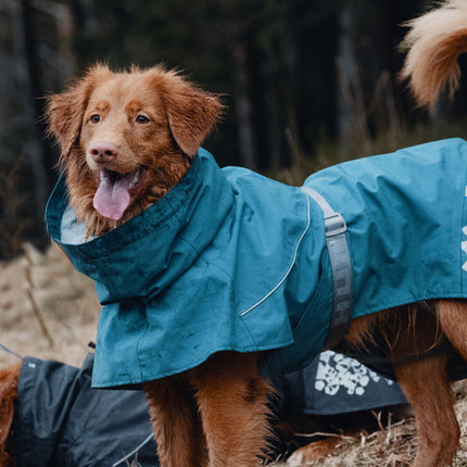 AnimalstoreXL Monsoon Coat Bilberry 50cm 933667