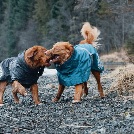 AnimalstoreXL Monsoon Coat Blackberry 65cm