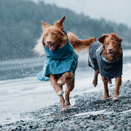 AnimalstoreXL Monsoon Coat Blackberry 65cm