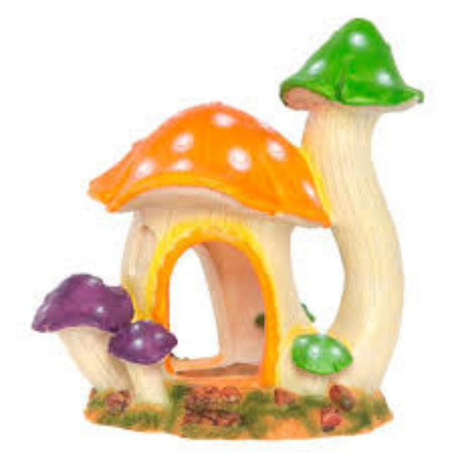 Mushroom House L