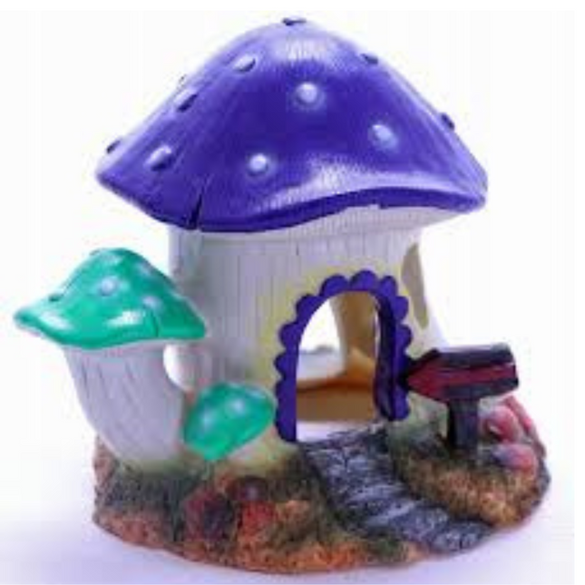 Mushroom House M