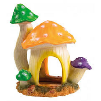 Mushroom House M
