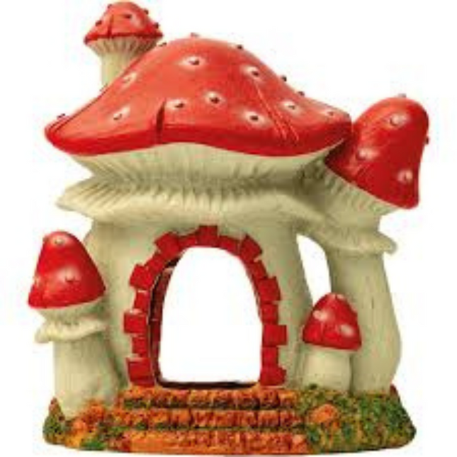 Mushroom House S
