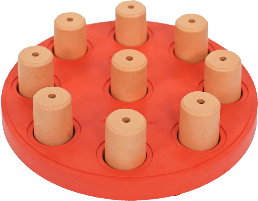 AnimalstoreXL Nina Ottosson Hondenspel Dog Smart Composite