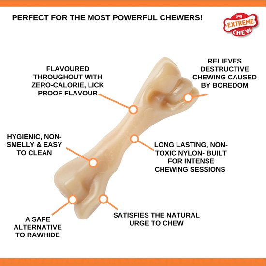 AnimalstoreXL Nylabone Big Chew Beefbone Kip Nbc101