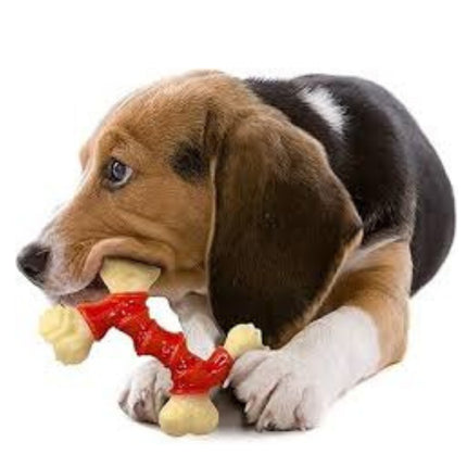 Nylabone Double Bend with Bacon