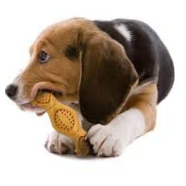 Nylabone Extreme Chew Fill It M