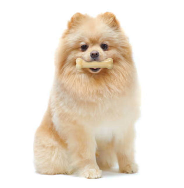 Nylabone Giant Bot Original