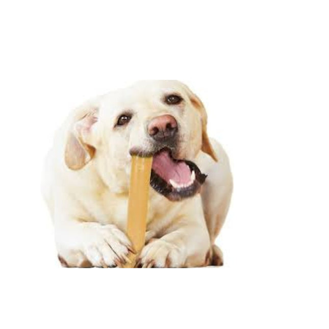 Nylabone Giant Bot Peanutbutter