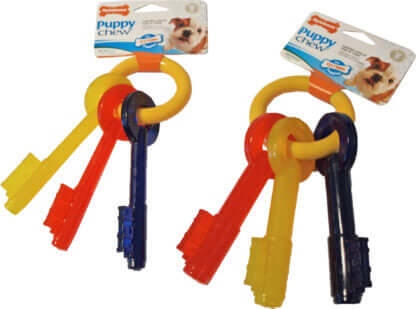 AnimalstoreXL Nylabone Puppy Chew Teething Key Small