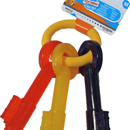 AnimalstoreXL Nylabone Puppy Chew Teething Key Medium
