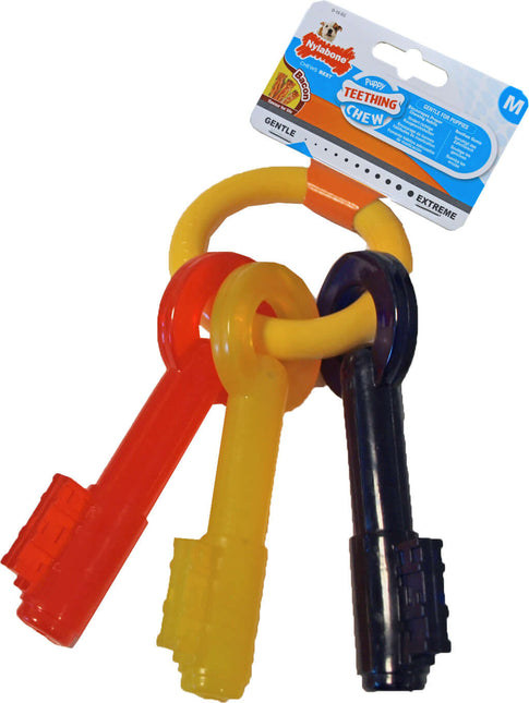 AnimalstoreXL Nylabone Puppy Chew Teething Key Medium