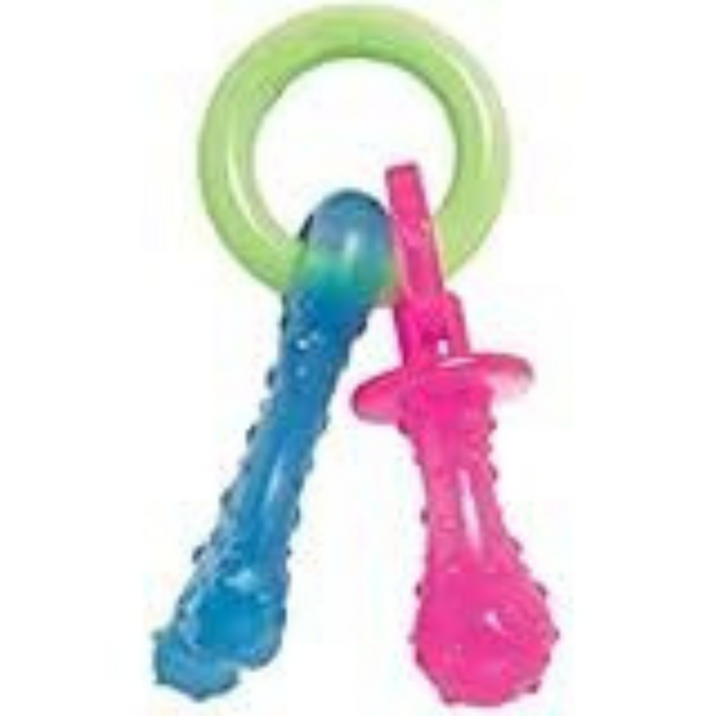 Nylabone Puppy Chew Teething Pacifer