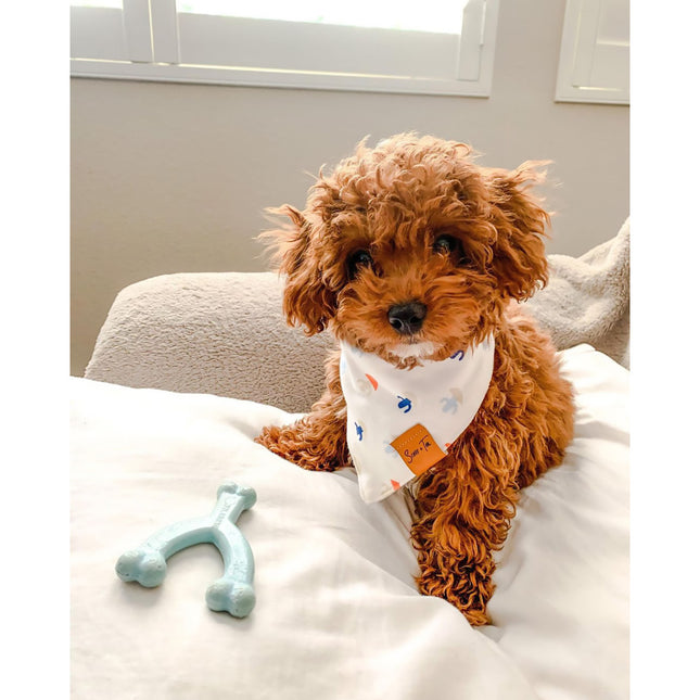 Nylabone Puppy Dental Wishbone XS Chicken Blue