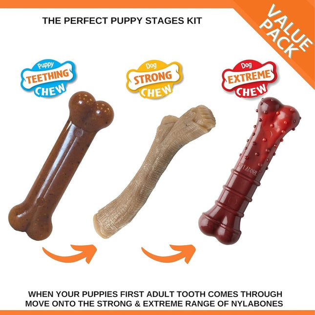 Nylabone Puppy Stages Pack M