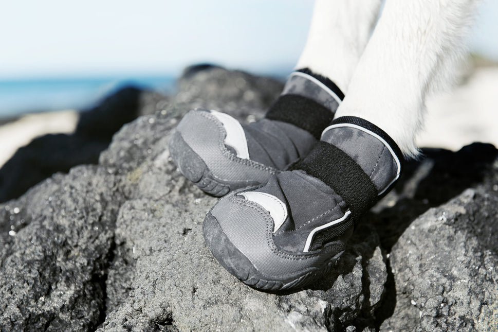 AnimalstoreXL Outbackboots Zwart S Pak a 2 stuks